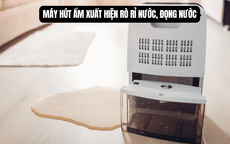 Máy hút ẩm xuất hiện rò rỉ nước, đọng nước