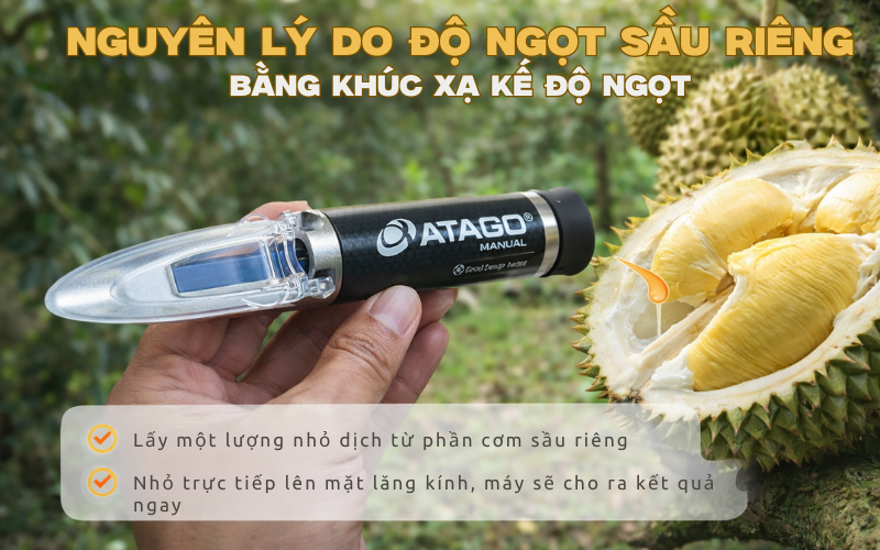 Nguyên lý đo độ ngọt sầu riêng bằng khúc xạ kế độ ngọt