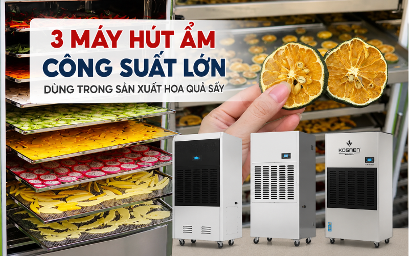 Top 3 Máy Hút Ẩm Công Suất Lớn Dùng Trong Sản Xuất Hoa Quả Sấy