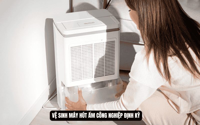 Vệ sinh và bảo dưỡng máy hút ẩm công nghiệp định kỳ