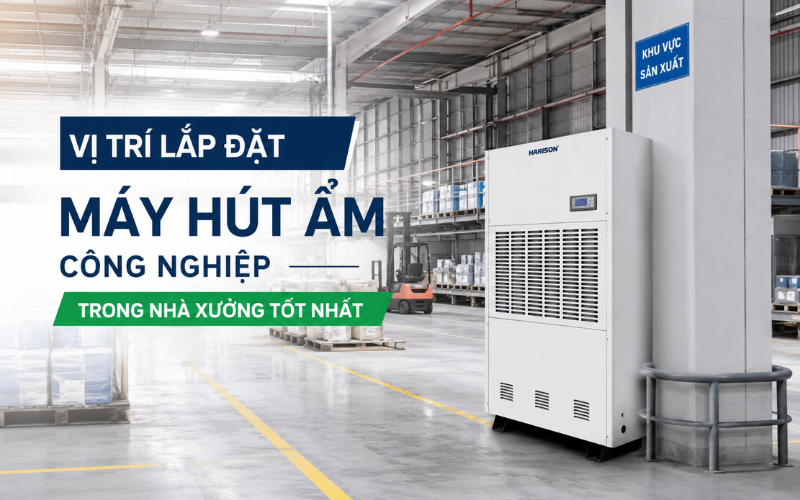 Vị trí lắp đặt máy hút ẩm công nghiệp trong nhà xưởng tốt nhất