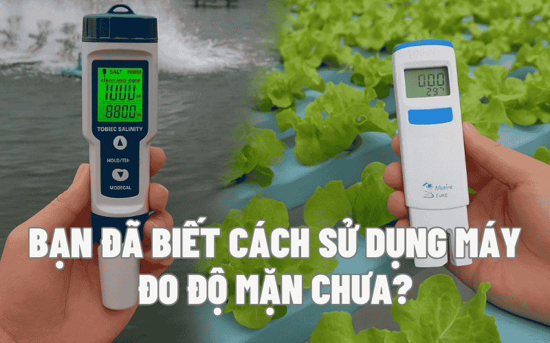 Bạn đã biết cách sử dụng máy đo độ mặn chưa?