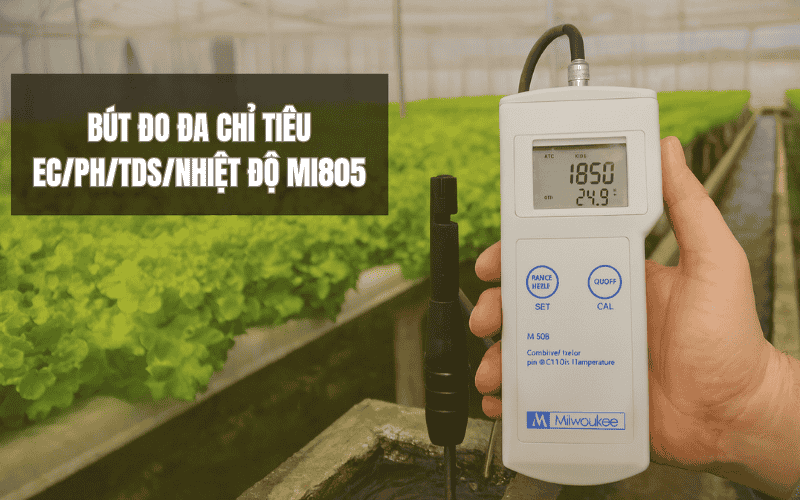 Bút đo đa chỉ tiêu EC/pH/TDS/Nhiệt độ Mi805