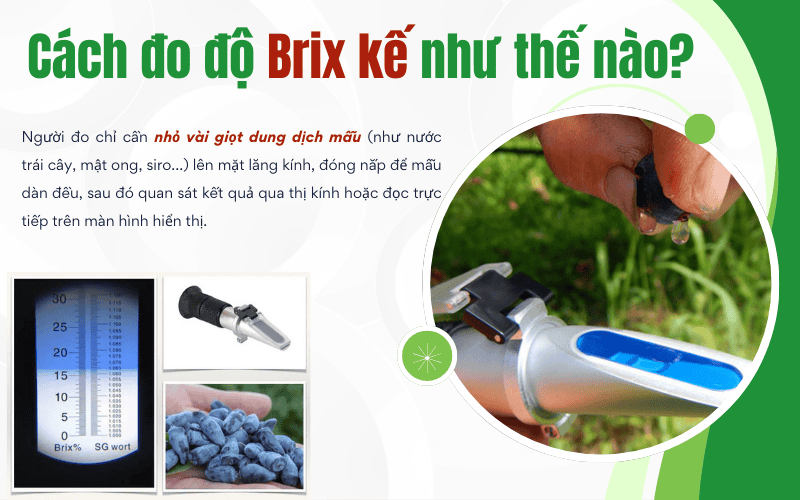 Cách đo độ Brix kế như thế nào?