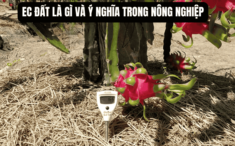 EC đất là gì và ý nghĩa trong nông nghiệp