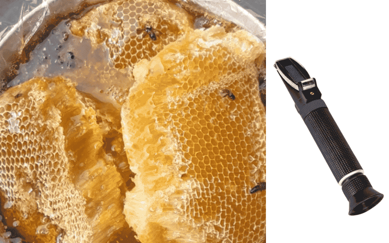 Hướng dẫn đo độ ngọt mật ong rừng bằng khúc xạ kế đo độ ngọt