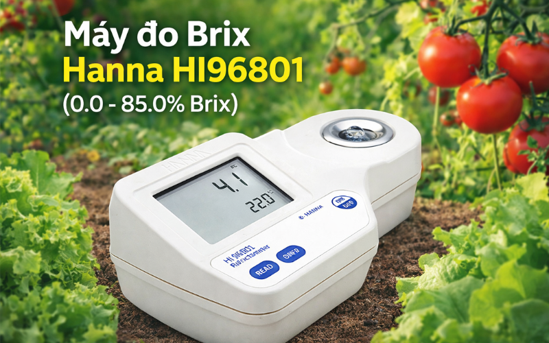 Máy đo Brix Hanna HI96801