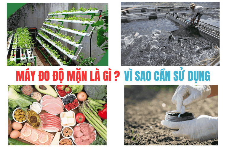 Máy đo độ mặn là gì và vì sao cần sử dụng?