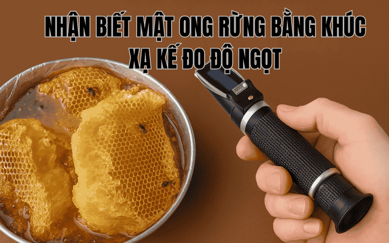 Nhận Biết Mật Ong Rừng Bằng Khúc Xạ Kế Đo Độ Ngọt