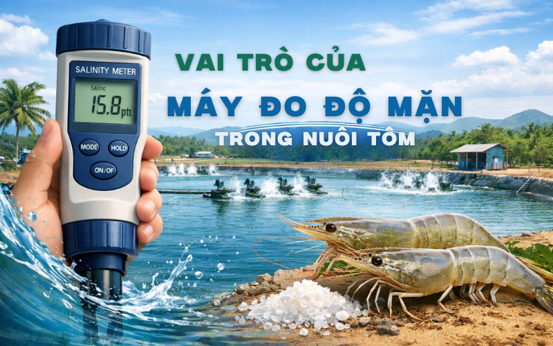 Vai trò của máy đo độ mặn trong nuôi tôm