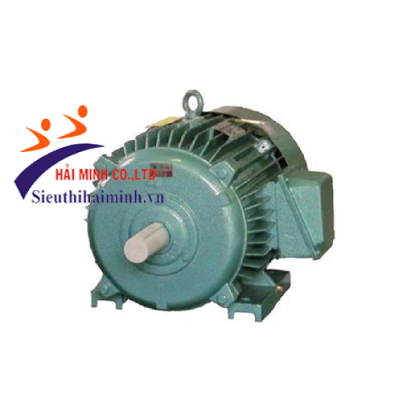 Photo - Động cơ điện 3 pha Hem 3K250S2-45KW