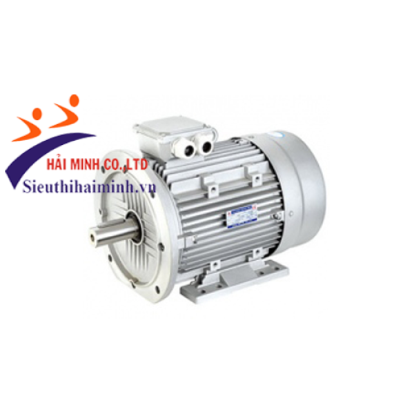 Photo - Động cơ điện 3 pha dasu  Y2-100L-2 (2.2kw)