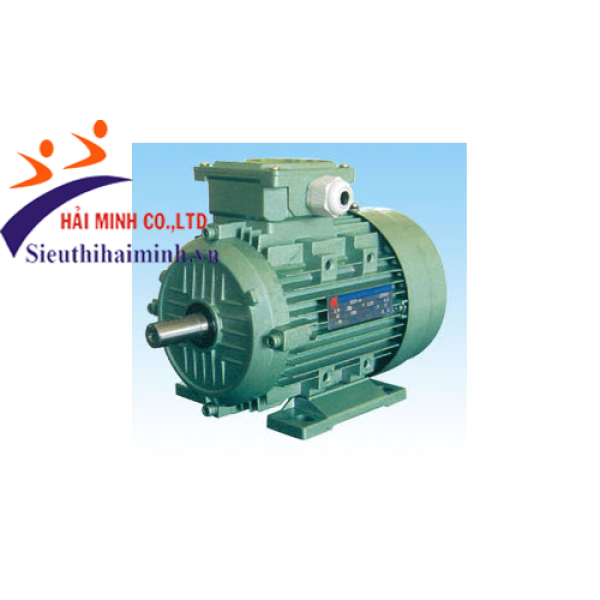 Photo - Động cơ điện 3 pha dasu  Y2-160M-6 (7.5kw)