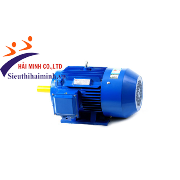 Photo - Động cơ điện 3 pha dasu Y2-180L-4 22 kw