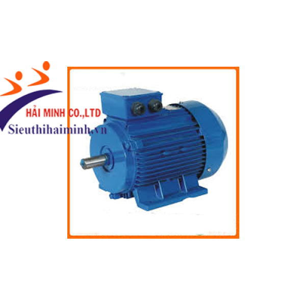 Photo - Động cơ điện 3 pha dasu Y2-180L-6 (15 kw)