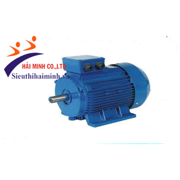 Photo - Động cơ điện 3 pha dasu Y2-250M-4 (55 kw)