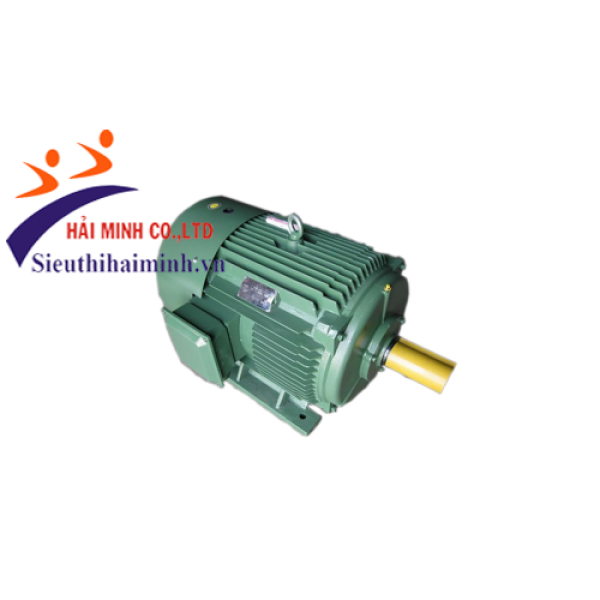 Photo - Động cơ điện 3 pha dasu Y2-280S-4 (75 kw)