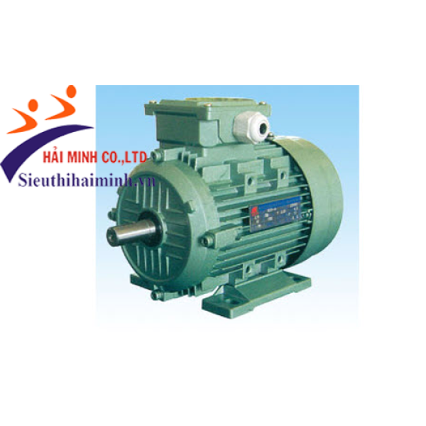 Photo - Động cơ điện 3 pha dasu Y2-90S-6 (0.75 kw)