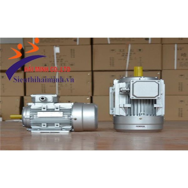 Photo - Động cơ điện Dasu 3 pha Y2-71M2-4 (0.37KW)