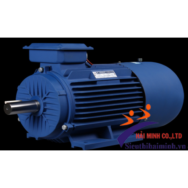 Photo - Động cơ điện Dasu 3 pha Y2-80M1-6 (0.37KW)