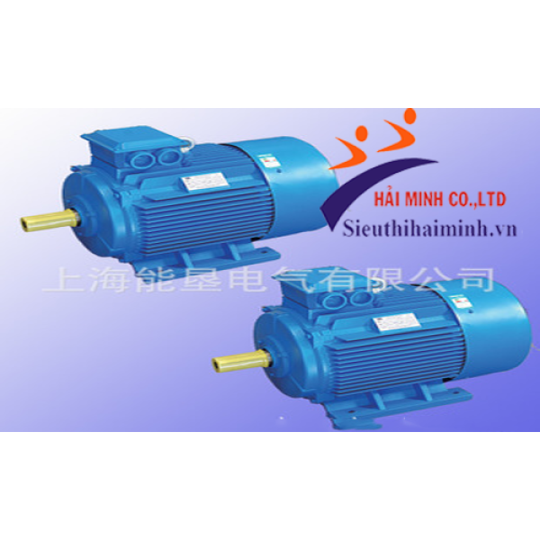 Photo - Động cơ điện Dasu 3 pha Y2-80M2-6 (0.55kw)