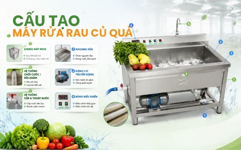 Cấu tạo của máy rửa rau củ quả