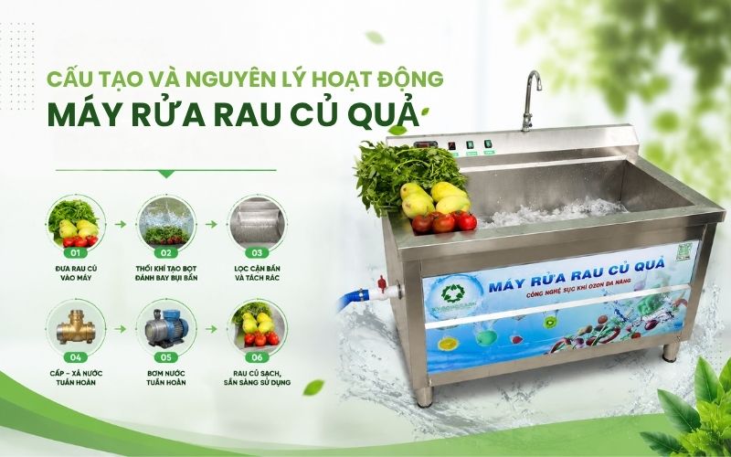 Cấu tạo và nguyên lý hoạt động máy rửa rau củ quả