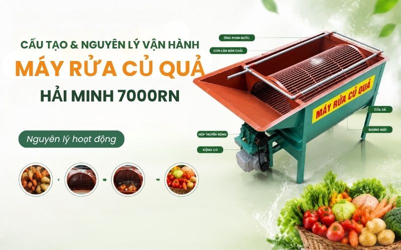 Cấu tạo và nguyên lý vận hành máy rửa củ quả 7000RN