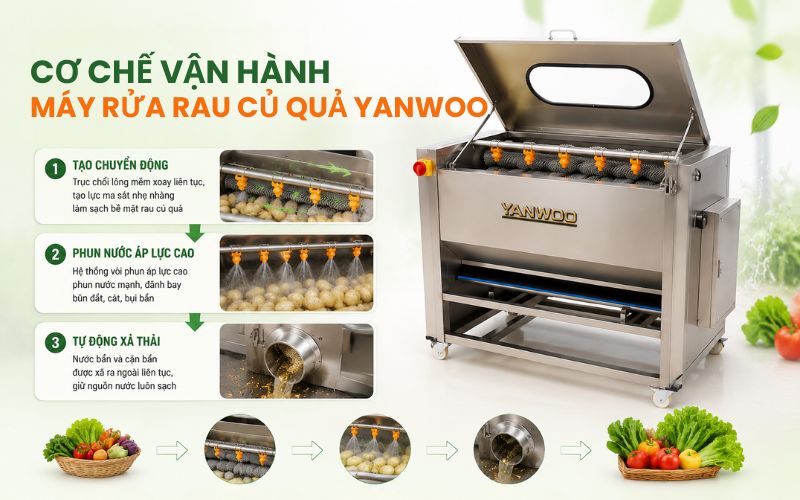 Cơ chế vận hành của máy rửa rau củ quả Yanwoo