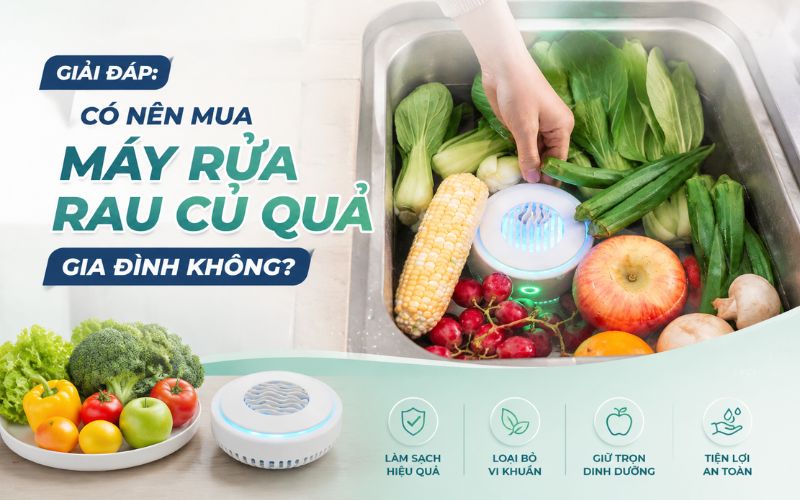 Giải đáp: Có nên mua máy rửa rau củ quả gia đình không