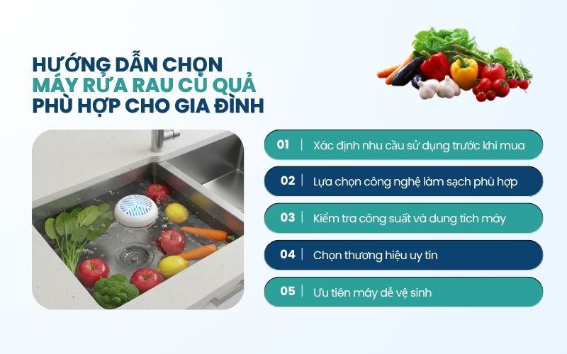 Hướng dẫn chọn máy rửa rau củ quả phù hợp cho gia đình 