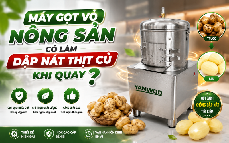 Máy gọt vỏ nông sản có làm dập nát thịt củ khi quay không?
