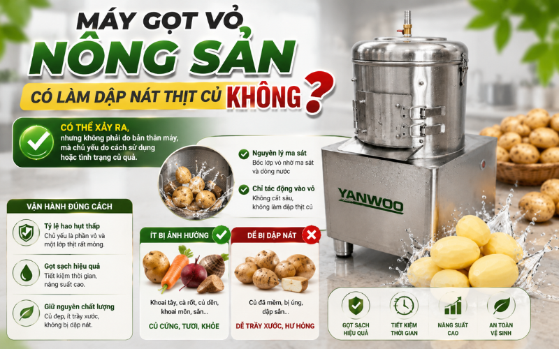 Máy gọt vỏ nông sản có làm dập nát thịt củ không