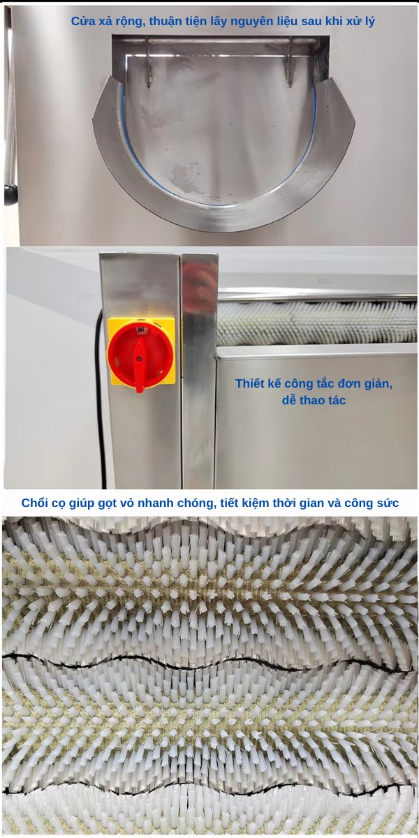 Máy chà rửa gọt vỏ củ quả Yawoo CX-80
