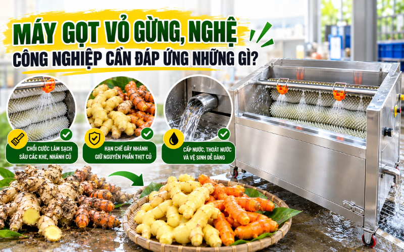 Máy gọt vỏ gừng, nghệ công nghiệp cần đáp ứng những gì