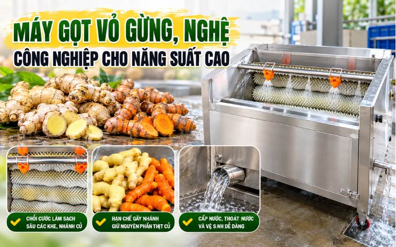 Máy gọt vỏ gừng, nghệ công nghiệp cho năng suất cao