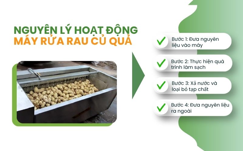 Nguyên lý hoạt động của máy rửa rau củ quả