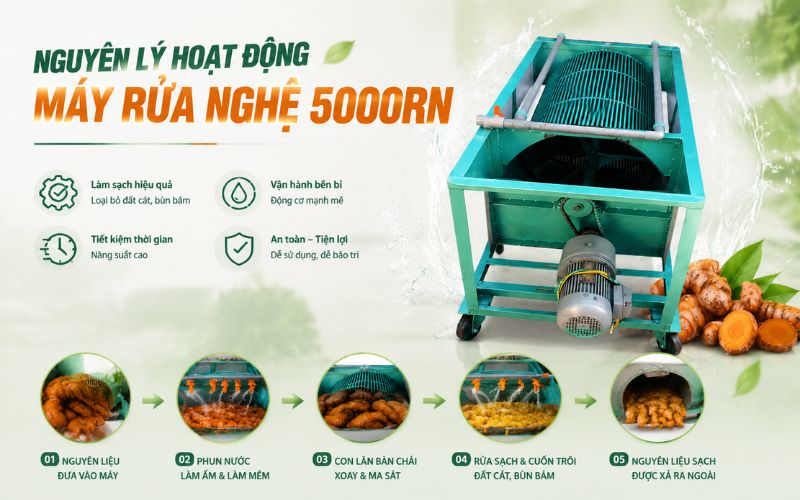 Nguyên lý hoạt động máy rửa nghệ 5000RN