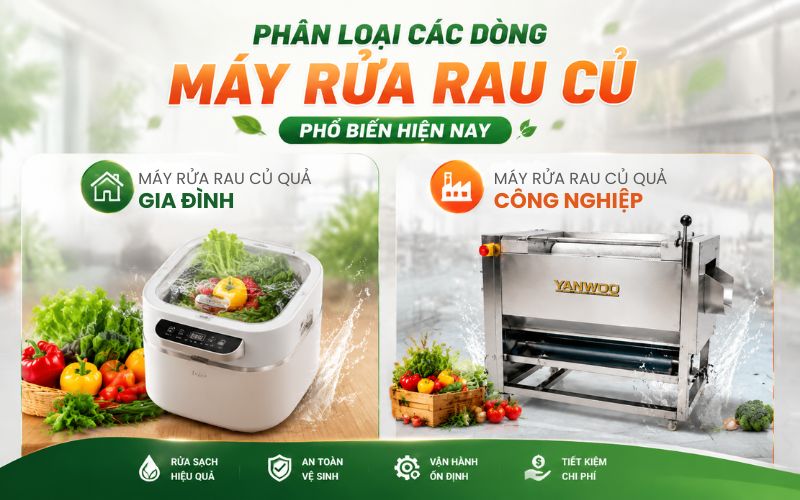 Phân loại các dòng máy rửa rau củ phổ biến hiện nay 