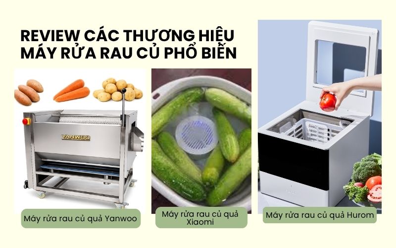 Review các thương hiệu máy rửa rau củ quả phổ biến