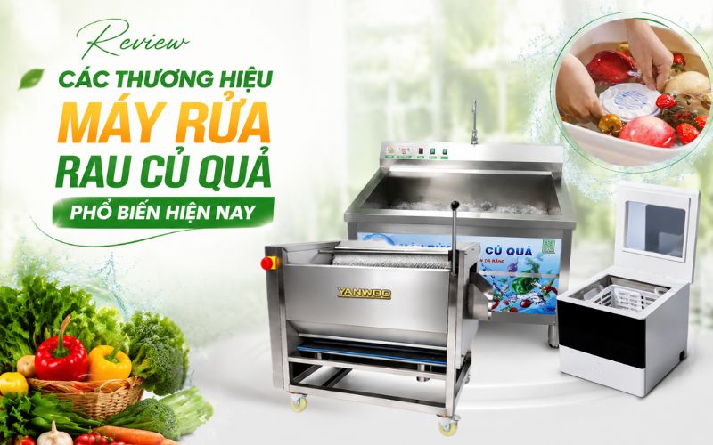 Review các thương hiệu máy rửa rau củ quả phổ biến hiện nay