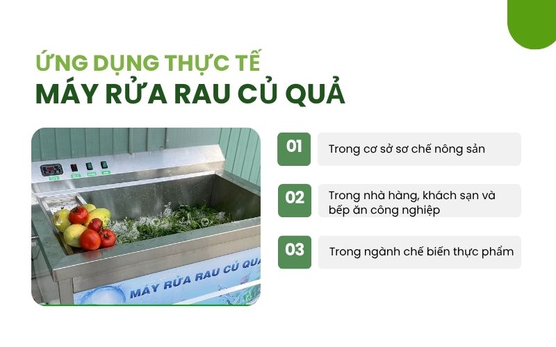 Ứng dụng thực tế máy rửa rau củ quả