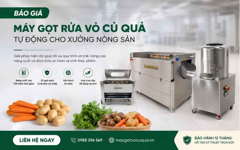 Báo giá máy gọt rửa vỏ củ quả tự động cho xưởng nông sản