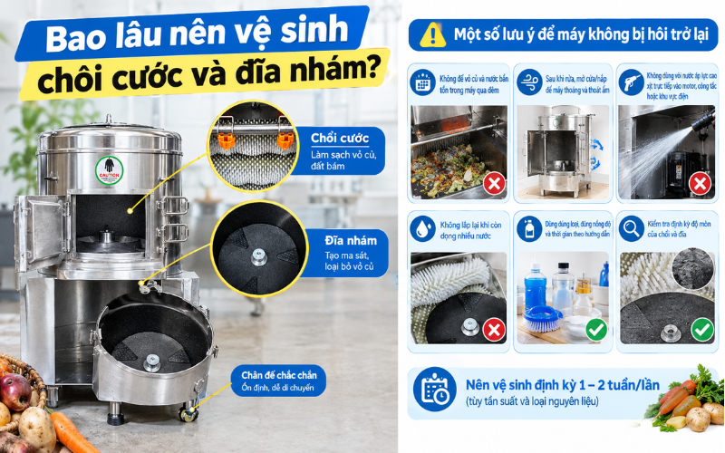 Bao lâu nên vệ sinh chổi cước và đĩa nhám