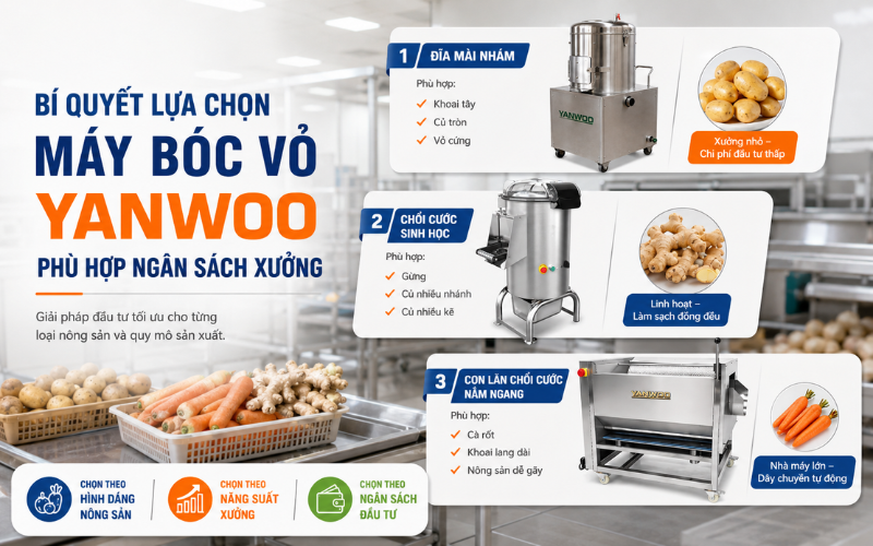 Bí quyết lựa chọn dòng máy bóc vỏ Yanwoo phù hợp với ngân sách của xưởng