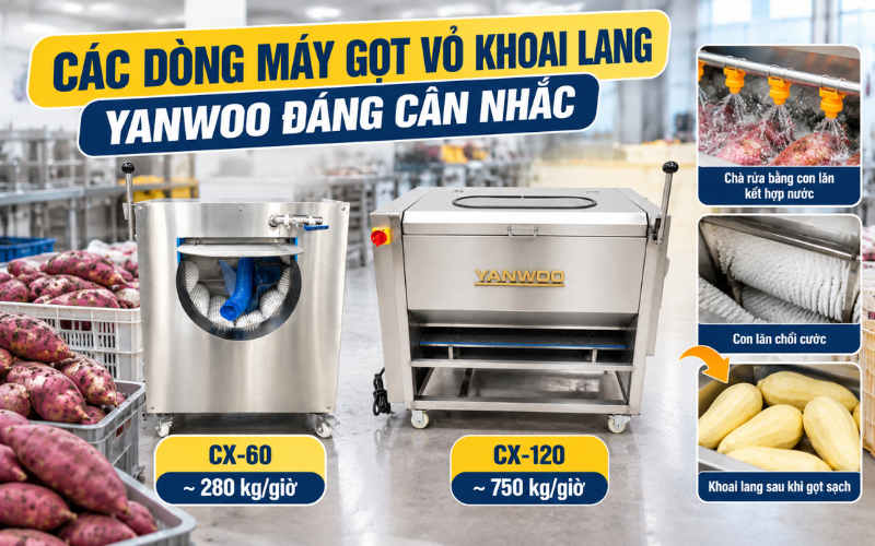 Các dòng máy gọt vỏ khoai lang Yanwoo đáng cân nhắc