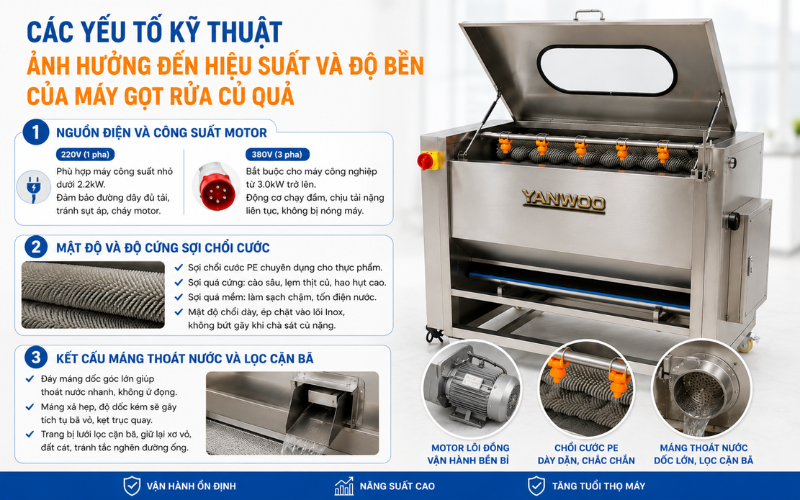 Các yếu tố kỹ thuật ảnh hưởng đến hiệu suất và độ bền của máy gọt rửa củ quả