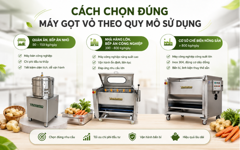 Cách chọn đúng máy gọt vỏ theo quy mô sử dụng