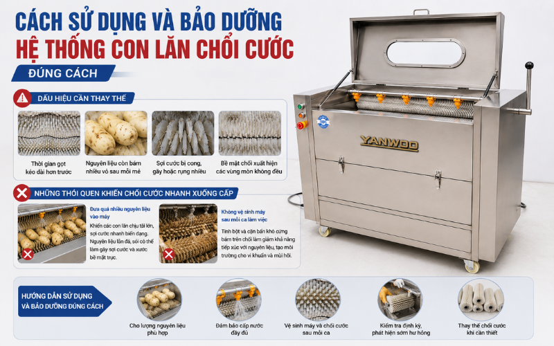 Cách sử dụng và bảo dưỡng hệ thống con lăn chổi cước đúng cách
