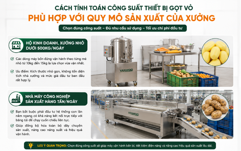 Cách tính toán công suất thiết bị gọt vỏ phù hợp với quy mô sản xuất của xưởng